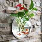 742574372380 Gdacrylic Fish Bowl Acrylic