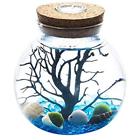 746060045505 Aquariums Aquarium Marimo Kit Globe Glass Jar Led