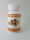 752830950054 Supply Gazelle Fishamoxi 500 752830950054 Supply Gazelle Fishamoxi 500