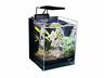 788379323400 Lifegard Gallons Betta Aquarium Low Iron Ultra Clear