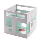 788496554831 Umbra Aquarium Small Gold