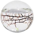 797923111691 Ecosphere Aquatic Ecosystem Fish