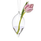 7e76cc8a82cf4e42adabc0d3551796eb Tucker Murphy Pet Rex Hanging Glass Aquarium Tank 192442945015