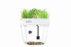 7fnoivwzpw General Garden Betta Fish Tank Hydroponics Growing System Aquaponic Sprouts