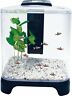804069027486 Penn Plax Betta Tank Kit Gallon With Internal