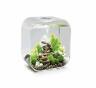 822728008720 Branded Aquarium With Mcr Gallon Transparent