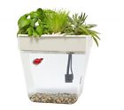 82644 Back To The Roots Aquarium Organic Garden Hydroponics Fish Tank