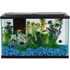 827164851886 Aqua Culture Gallon Aquarium Kit Desktop Fish Tank