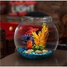 827164857574 Aqua Culture Betta Fish Bowl Gallon Aquarium Kit