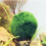 829698547877 Unbranded Aquarium Marimo Balls Algae Fish Tank Ornaments