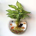 83108 Gdacrylic Wall Mount Fish Bowl Acrylic Hanging Aquarium 691219083108