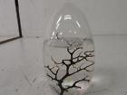 833985003854 Ecosphere Closed Aquatic Ecosystem