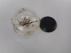 833985004011 Ecosphere Closed Aquatic Ecosystem Small