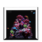 850000451001 Waterbox Aquariums Cube Nano Aquarium Including Filter Media