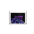 850000451063 Waterbox Aquariums Silver Marine Aio Frag Aquarium