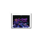 850000451070 Waterbox Aquariums Silver Marine Aio Aquarium