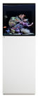856370007138 Waterbox 40.1 White Reef