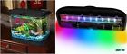 7808472 85722 Ap 5 Gallon Big Fish