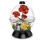 859079002343 Bio Bubble Biobubble Wonder Small