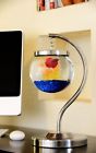 863536000315 Show Fish Flight Gallon Aquarium Bowl 190971884317