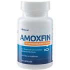 866383000187 Vibrands Amoxfin Fish Antibiotic