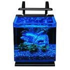 8668 Bestqualityitemsonly4u Mini Fish Tank 689177718668