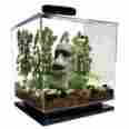 8980328 Tetra 3 Gallon Cube Aquarium Kit Water Fish Tank Starter Filter Betta Led Light Decor 642888980328