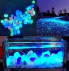90135 Loizicy2015 Fish Tank Glowing 601751490135
