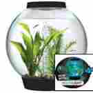 951183 Illuminated Fish Bowl Aquarium Tank Mini 4gal Small W Led Light Home Starter Kit 0765050951183