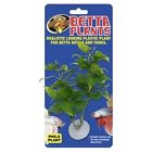 Azmbp20 976538 Laboratories Plastic Plants Betta Philo 097612241204