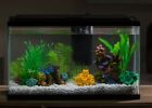 99008 Gallon Aquarium Starter Kit Led Lighting Light Fish 689000199008