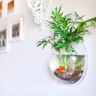 9ds4lh5tk1fv9 Yuge Pot Plant Wall Mounted Hanging Aquarium Transparent Fish Bowl