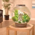 Aab000fl3cmm Biorb Classic Aquarium With Led Light By Gallon