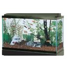 Aag10029 Gallon Aqueon Tank 25