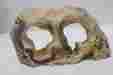 Acc1090 Conceptual Creations Surrey Aquatic Rock Aquarium Tank Decoration 810695010907