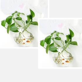 Acjryo 2-8578-1457515281 2pack Wall Hanging Fish Tank Mounted Bowl Betta Plant