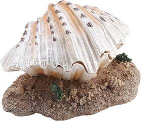 Acouto Acouto1iaoc4265m Aquarium Bubbler Decor Decoration Coral Pearl Shell