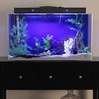 Acrylic-aquarium-fish-1171 Acrylic Aquarium Fish Tank 702895381171