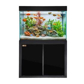 Ad 810082360035 Tempered Glass 100 Gallon Aquarium Black