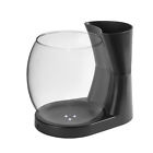 Ae08790d76694a5086661d8ae3021a5f Archie Oscar Gordie Gallon Betta Planter Aquarium Bowl