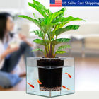 Alf508212 Unbranded Clear Aquarium Pot Planter Plant Fish Tank Vase Home