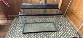 E163201 All-glass Aquarium Inc. 30 Gal Rectangle Tank With Lights E163201 All-glass Aquarium Inc. 30 Gal Rectangle Tank With Lights