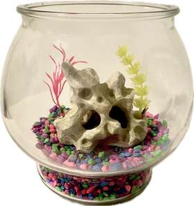 Anchor Hocking 076440251784 Footed Fish Bowl 1 Gallon Every Thing In The Photo Included