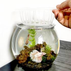 Aobeiworld Ab-yg-sn006 Aquaponic Betta Fish Tank 0.6 Gallon High Clear Plastic Aquarium Round Small