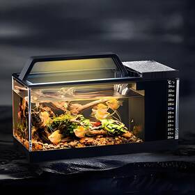 Aobeiworld Clyg01 Small Fish Tank With Filter Self Cleaning Betta 1 Gallon Fish