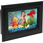 Ap075pflt Kollercraft Api Betta Picture 049146070003