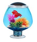 Ap17000pg Kollercraft Api Betta Kit 049146170000