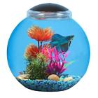 Ap30000gb Koller Products Bettatank Fish Bowl With Led Lighting 49146300001