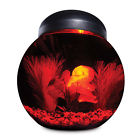 Aq15000pc Imagitarium Gallon Betta Habitat 800443171042