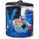 Aq1500ifpc Imagitarium Cylindrical Betta Fish Desktop Tank Kit Gal 800443286401